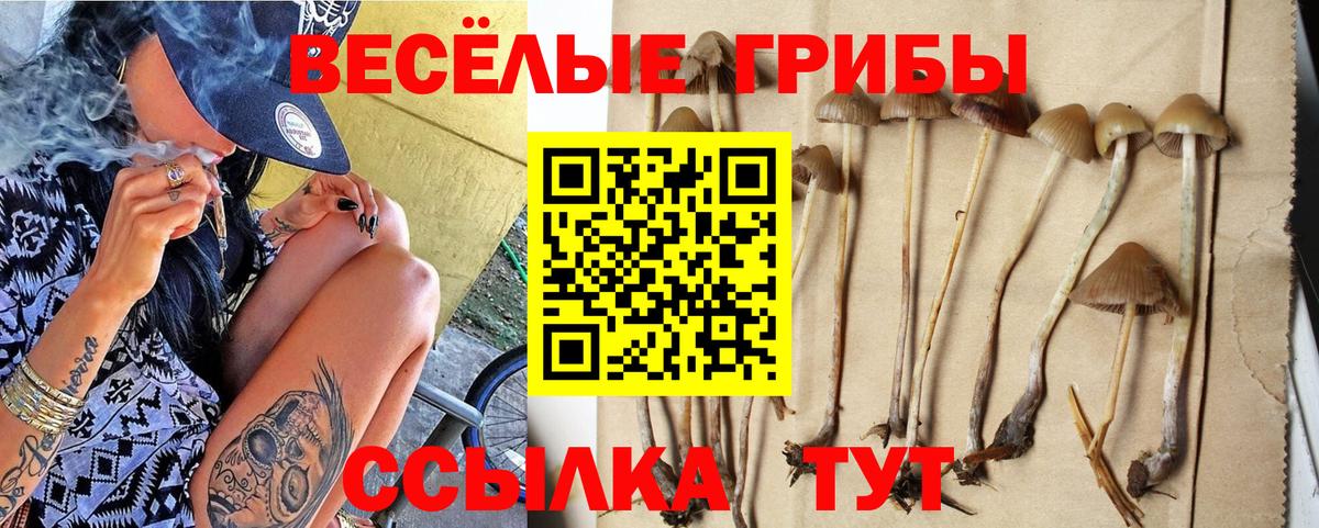 Галлюциногенные грибы MAGIC MUSHROOMS Алатырь