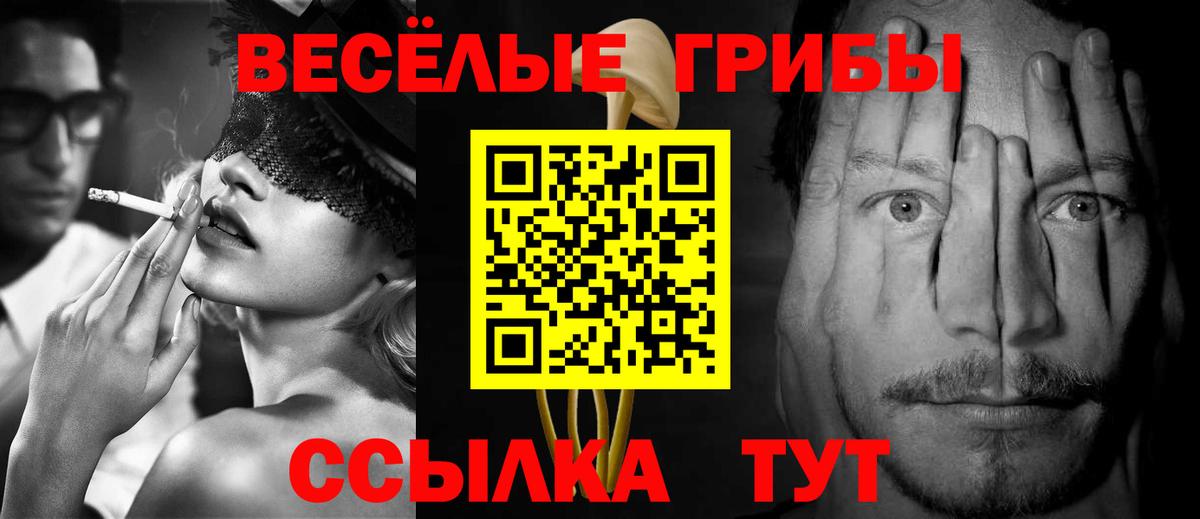 Псилоцибиновые грибы MAGIC MUSHROOMS  хочу   Псилоцибиновые грибы Psilocybine cubensis  Алатырь  Вход с VPN 
